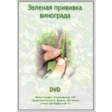 Green grafting of grapes [DVD]