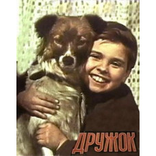 Дружок [DVD]