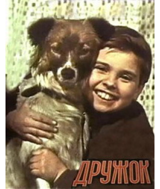 Дружок [DVD]