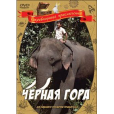 Чёрная гора [DVD]