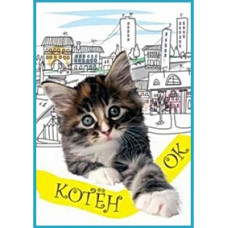 Кошеня [DVD]