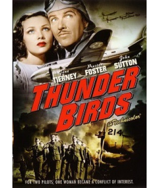 Гром птиц: Солдаты воздуха [DVD]