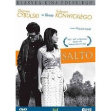 Somersault [DVD]