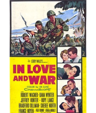 В любви и войне [DVD]