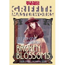 Зламані пагони або китаєць та дівчина [DVD]
