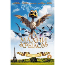 Flap Your Wing [DVD]