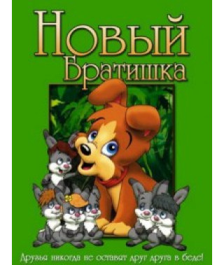 Новый братишка [DVD]